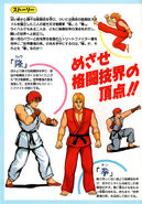 SF1 Flyer-Ryu&Ken