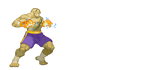 Tiger Shot Street Fighter Wiki Fandom