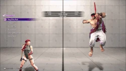 CammyModernAdvanced4