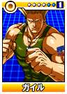 Guile Card Fighters DS card.