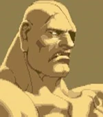 Sagat-select-SFA