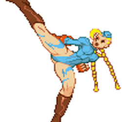 Killer Bee Assault Street Fighter Wiki Fandom Killer Bee Assault Street Fighter Wiki Fandom