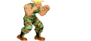 Guile's Sonic Boom.gif