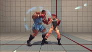 Crazy Buffalo against Cammy in Street Fighter IV. (Kicks)