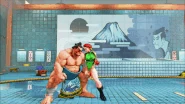 OichoThrow.gif (9.41 MB) E. Honda's Normal and EX Oicho Throw against Cammy in Street Fighter V