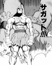 Sagat after easily defeating Hugo.