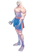 Sagat