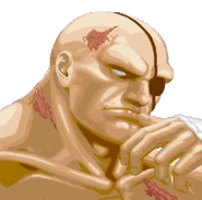 Ultra Street Fighter II Versus Pose