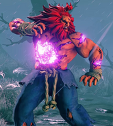 Akuma's Story Costume