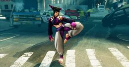 Did You Know That Juri Han Isn't Street Fighter's Only Taekwondo Fighter? -  HubPages