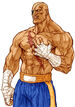 Sagat in Capcom vs. SNK 2 (C, A, or P groove)