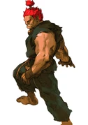 Akuma in Marvel vs. Capcom 2: New Age of Heroes.
