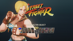 Character Select, Street Fighter Wiki