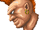 Birdie-StreetFighter-portrait.gif