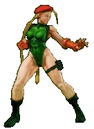 Street Fighter V