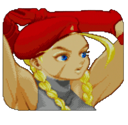 Cammy Battle Ready - Street Fighter – Snapping Turtle Gallery