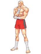 Sagat in Street Fighter II': Champion Edition.