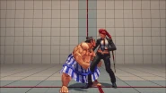 RiceBaleThrowSF4.gif (6.96 MB) Rice Bale Throw in Street Fighter IV