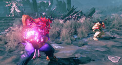 Gohadoken.jpg