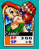 Cammy-2card