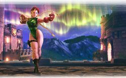 CammySFVCE.jpg