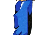 Ginzu the Ninja