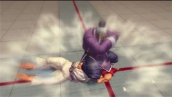 Ryukoha | Street Fighter Wiki | Fandom