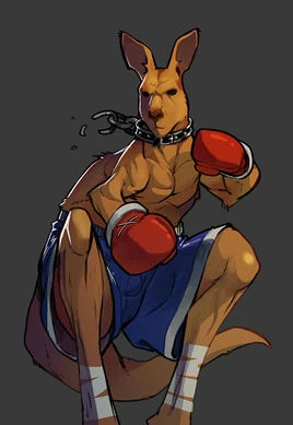 Roo-SoR4