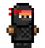 Assassin