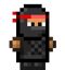 Assassin