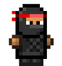 Assassin
