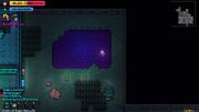 A resurrection pond