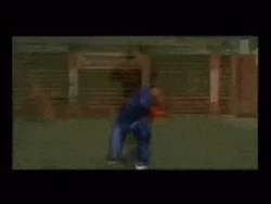 Hiryu's Dramatic Finish (animated)