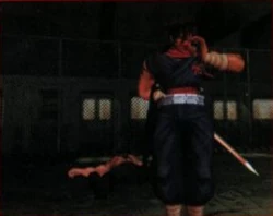 Hiryu victorious