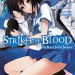  Strike the Blood, Vol. 8 (light novel): The Tyrant and the Fool  (Strike the Blood (light novel)) eBook : Mikumo, Gakuto: Kindle Store