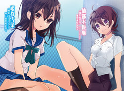 NOV162028 - STRIKE THE BLOOD LIGHT NOVEL SC VOL 05 - Previews World