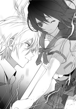 Strike the Blood: Append  Light Novel 