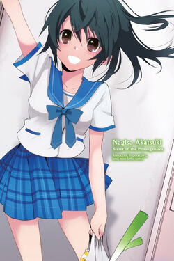 Light Novel Volume 15, Strike The Blood Wiki, Fandom