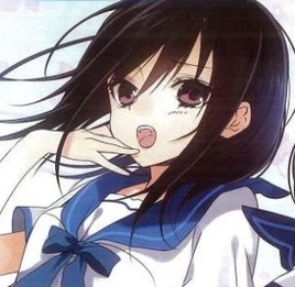 Light Novel