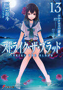 Light Novel Vol 13