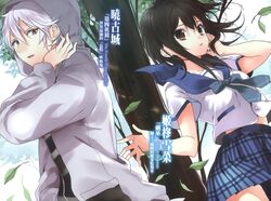 Strike the Blood, Vol. 14 (Light Novel): Golden Days