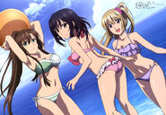 STB Harem Yukina Asagi Sayaka Beach