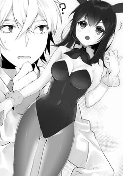 Strike the Blood, Vol. 21 (light novel): The Twelve Blood Servants (Strike the Blood (light novel), 21)
