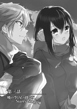 Strike the Blood APPEND 2 Novel Anime Japanese Book