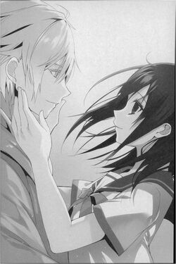 Strike the Blood, Vol. 14 (Light Novel): Golden Days