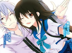 Light Novel Volume 15, Strike The Blood Wiki, Fandom