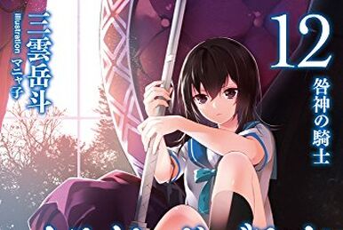 Strike the Blood, Vol. 14 (light novel): by Mikumo, Gakuto