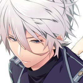 Light Novel