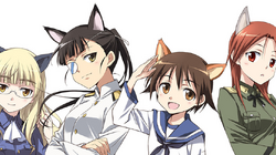 World Witches Series Wiki Fandom