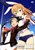 Shirley and Lucchini in a DVD Volume